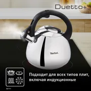 Чайник для плиты Tefal Duetto+ N4180110