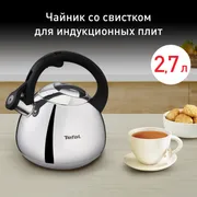 Чайник для плиты Tefal Duetto+ N4180110