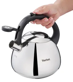 Чайник для плиты Tefal Duetto+ N4180110