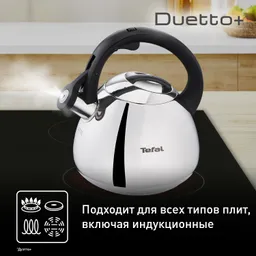 Чайник для плиты Tefal Duetto+ N4180110