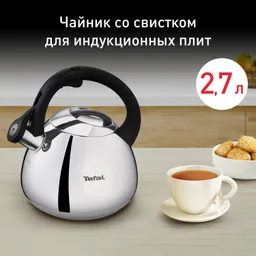 Чайник для плиты Tefal Duetto+ N4180110
