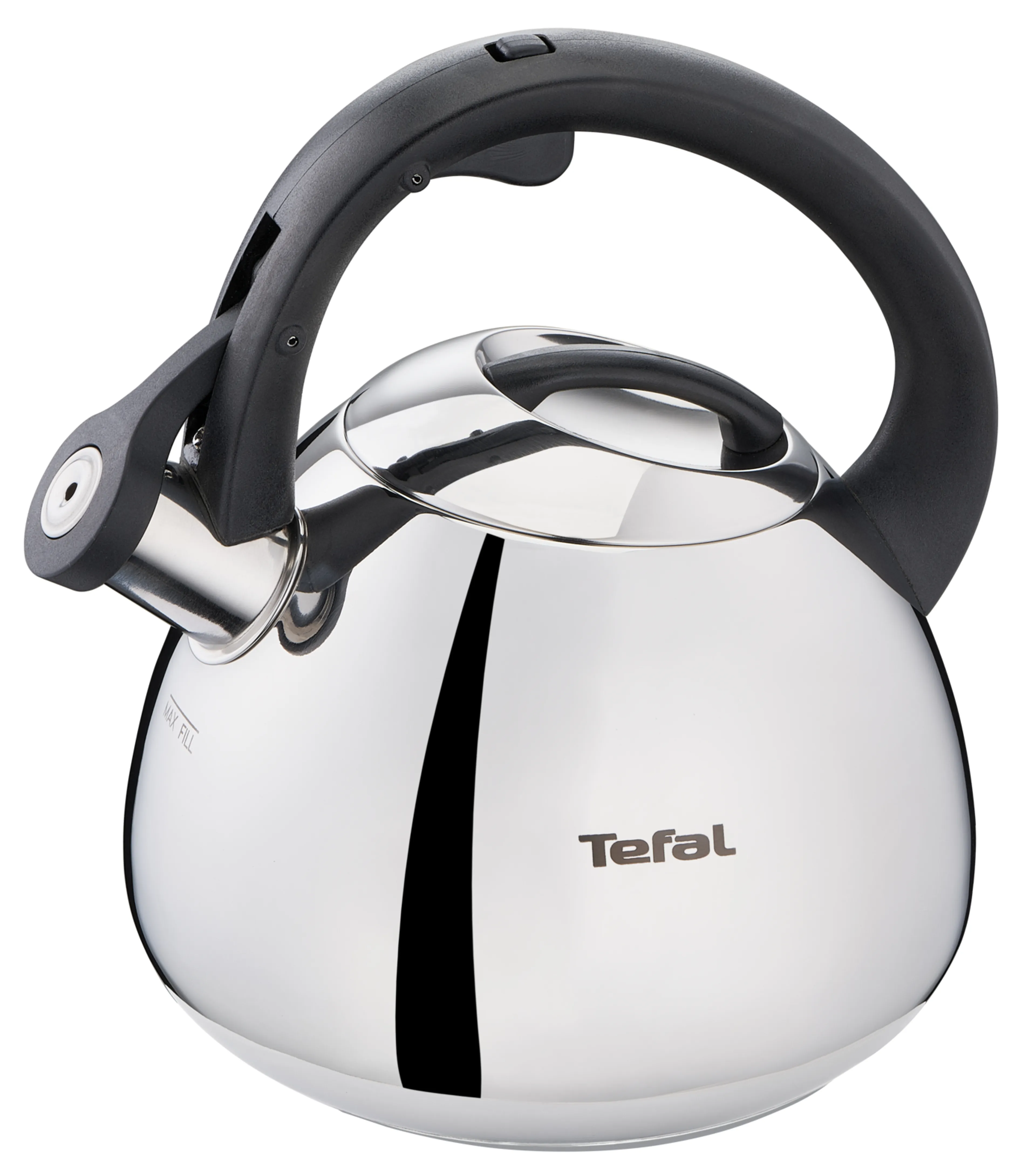 Чайник для плиты Tefal Duetto+ N4180110 фото