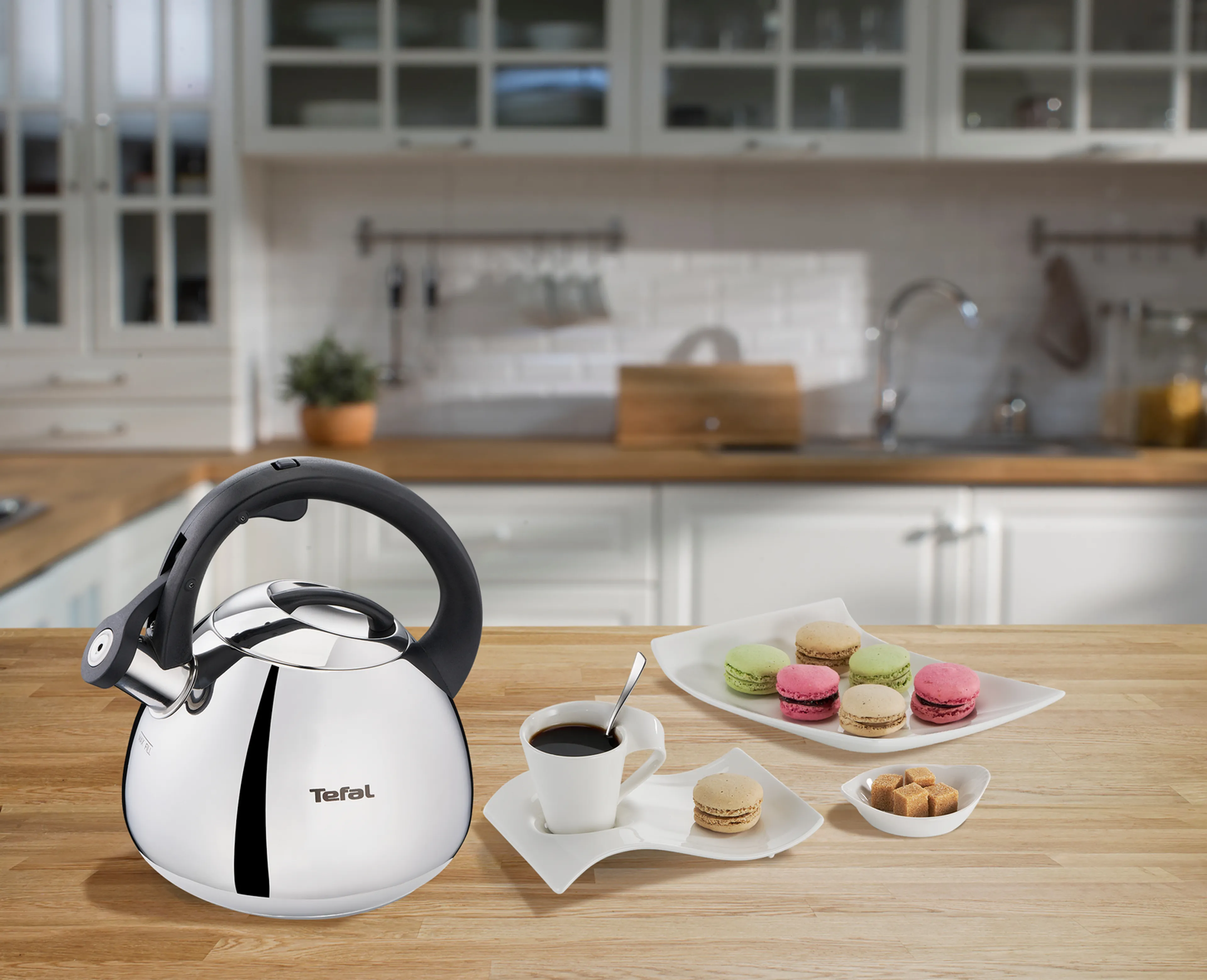 Чайник для плиты Tefal Duetto+ N4180110
