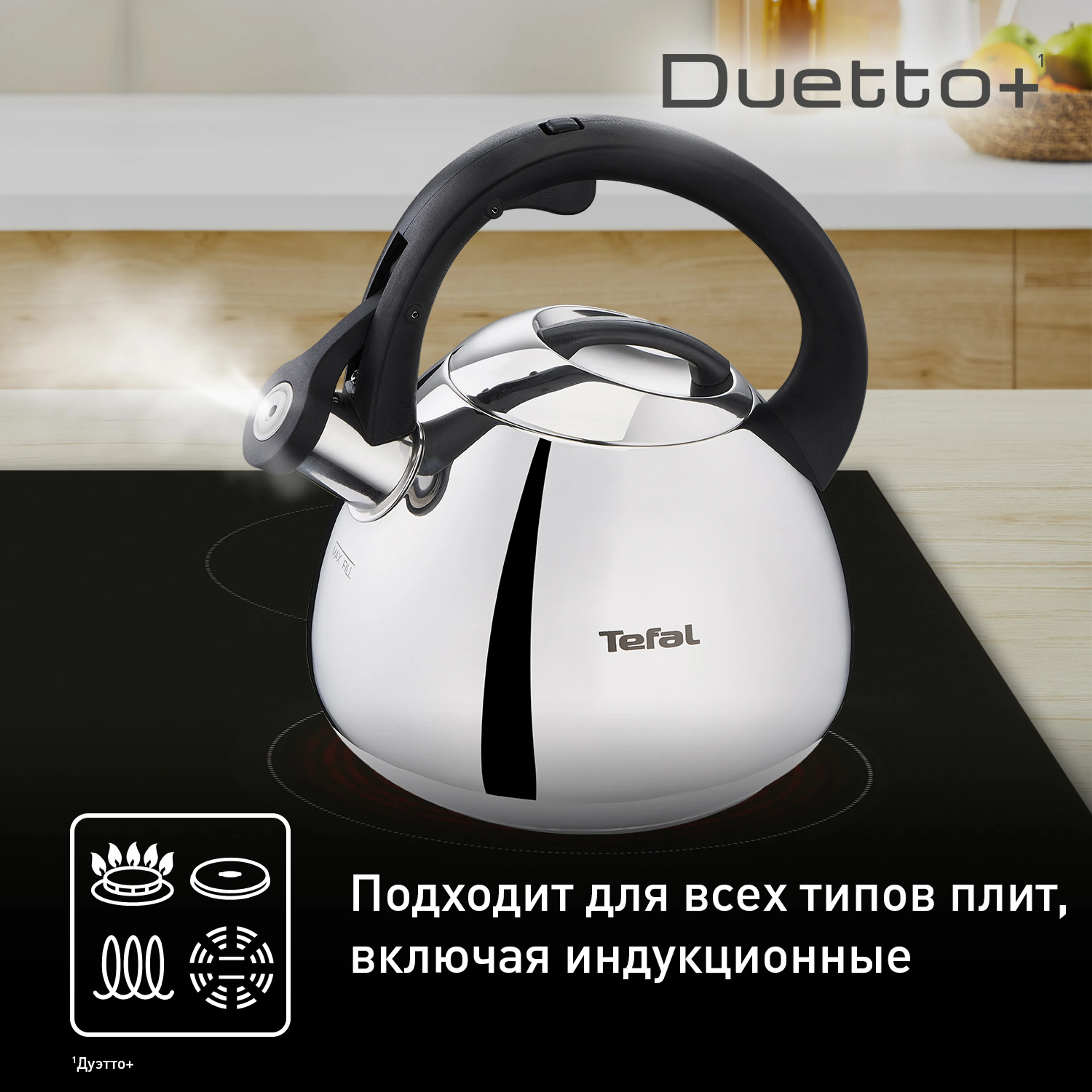 Чайник для плиты Tefal Duetto+ N4180110