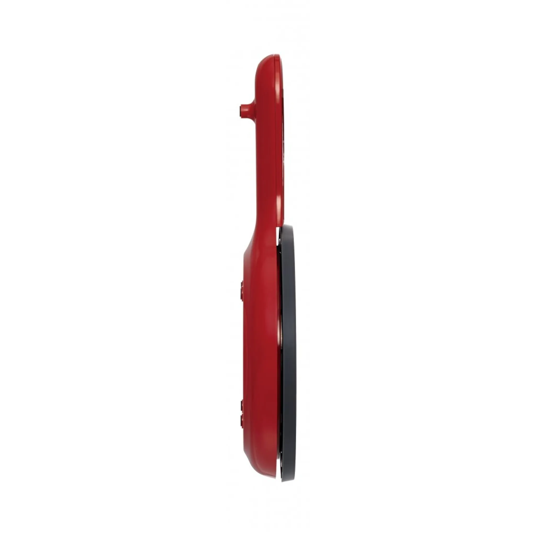 Кухонные весы Tefal BC2530V0