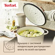 Кастрюля с крышкой Tefal LOV 25 см E2590404