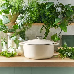 Кастрюля с крышкой Tefal LOV 25 см E2590404