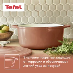 Кастрюля с крышкой Tefal LOV 29 см E2600504