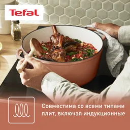 Кастрюля с крышкой Tefal LOV 29 см E2600504