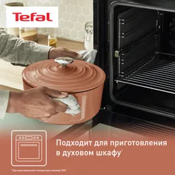Кастрюля с крышкой Tefal LOV 29 см E2600504