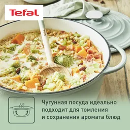 Кастрюля с крышкой Tefal LOV 25 см E2580404