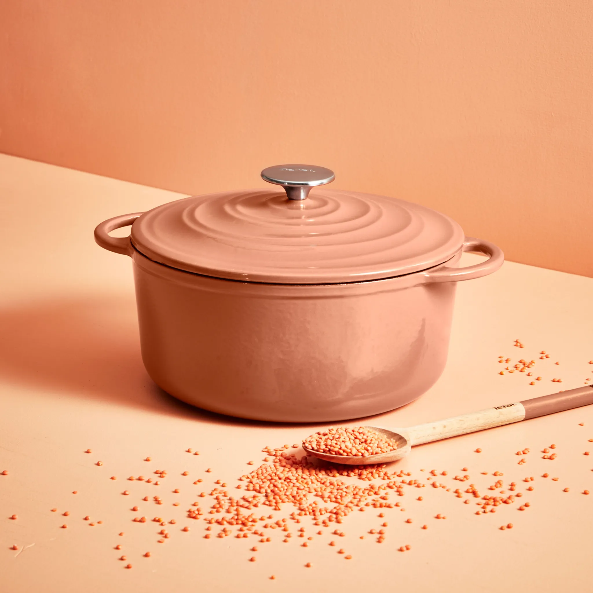 Кастрюля с крышкой Tefal LOV 25 см E2600404