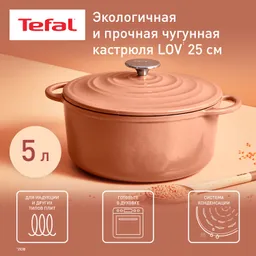 Кастрюля с крышкой Tefal LOV 25 см E2600404