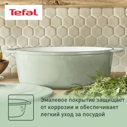 Овальная кастрюля с крышкой Tefal LOV 34х26 см E2580604