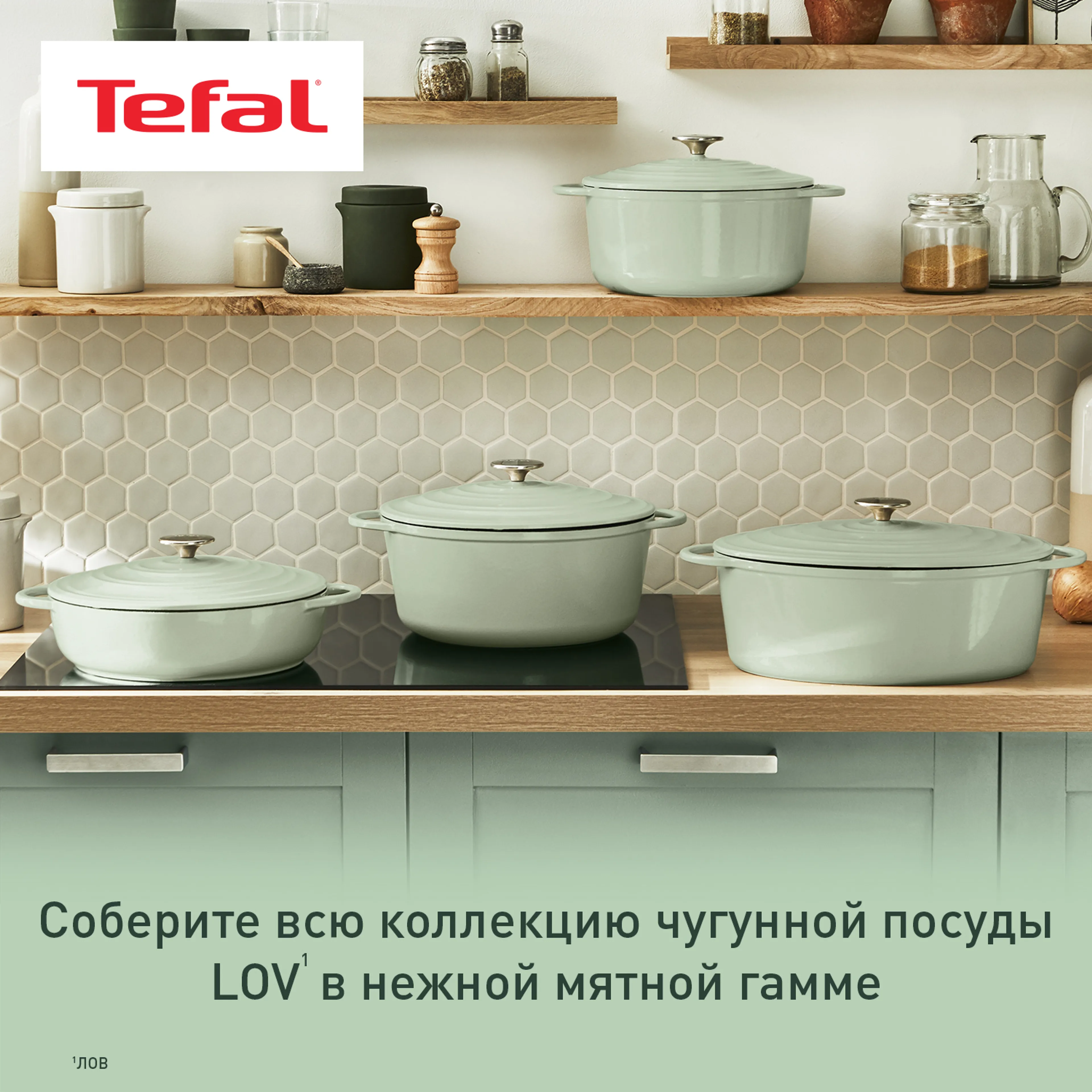 Овальная кастрюля с крышкой Tefal LOV 34х26 см E2580604