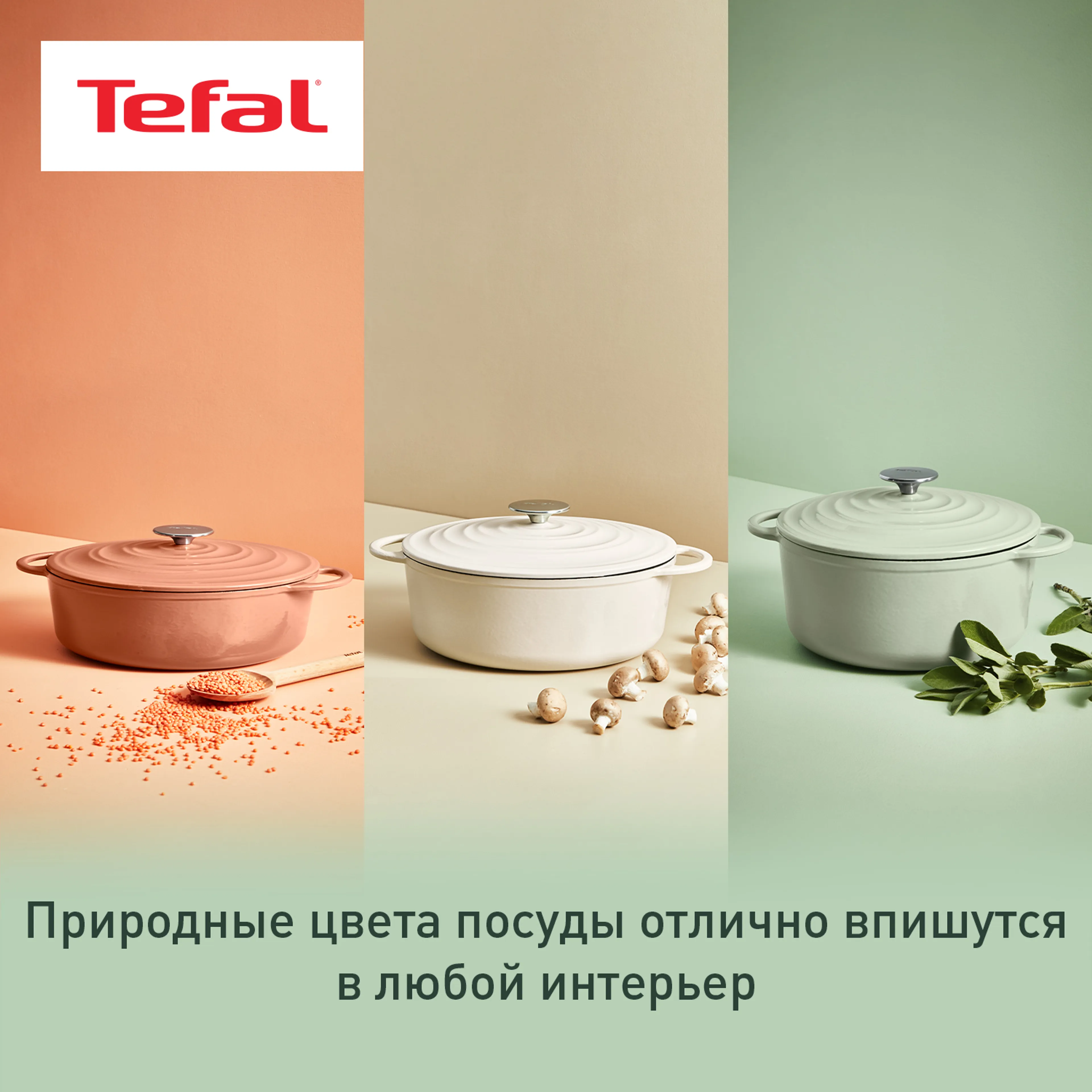 Овальная кастрюля с крышкой Tefal LOV 34х26 см E2580604