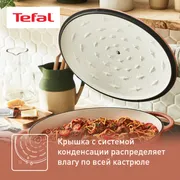 Овальная кастрюля с крышкой Tefal LOV 34 см E2600604