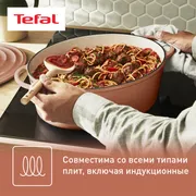 Овальная кастрюля с крышкой Tefal LOV 34 см E2600604