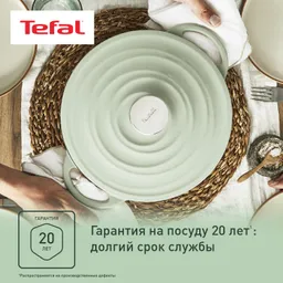 Кастрюля с крышкой Tefal LOV 7.4л 29см E2580504