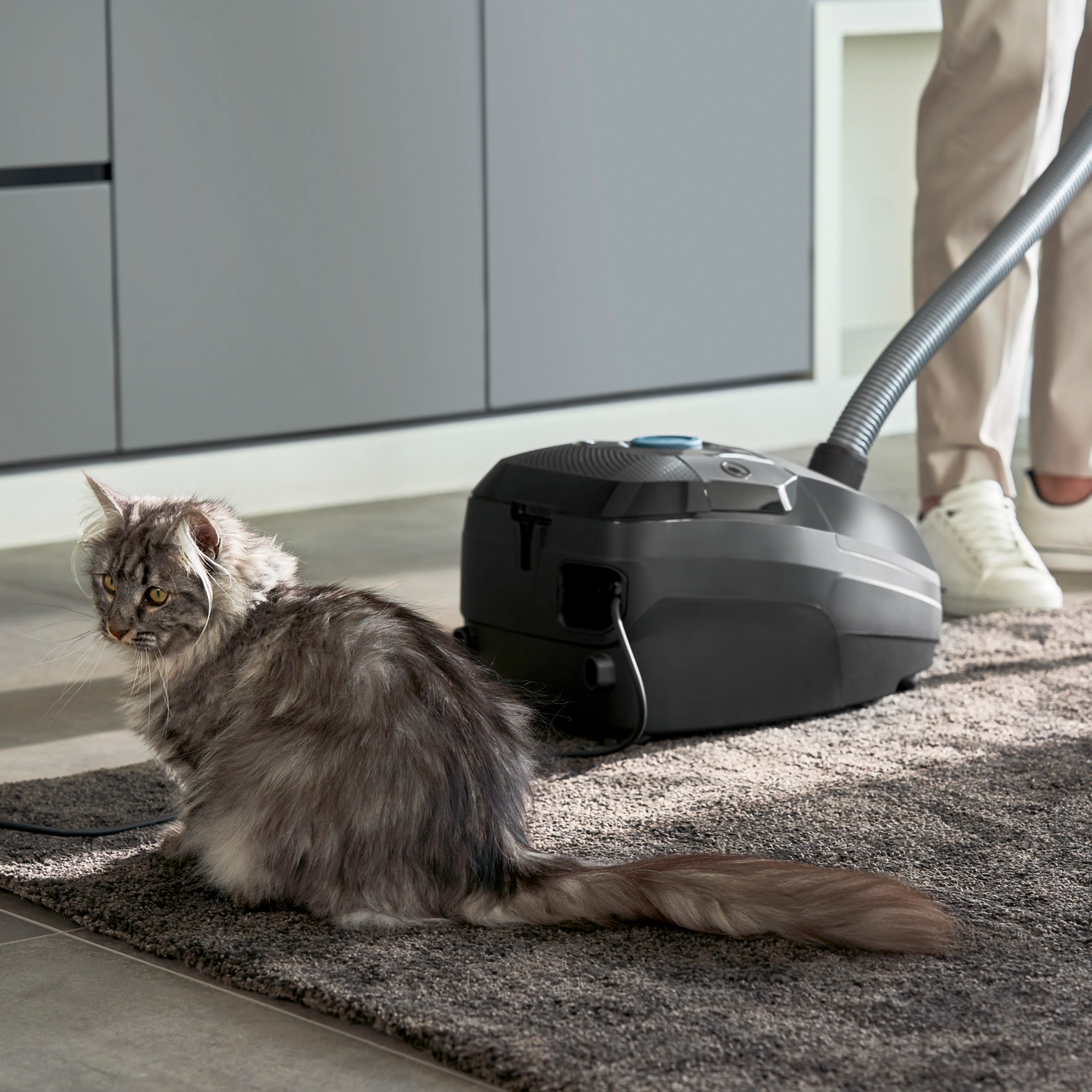 Пылесос с пылесборником Tefal Green Force Max  TW4931EA