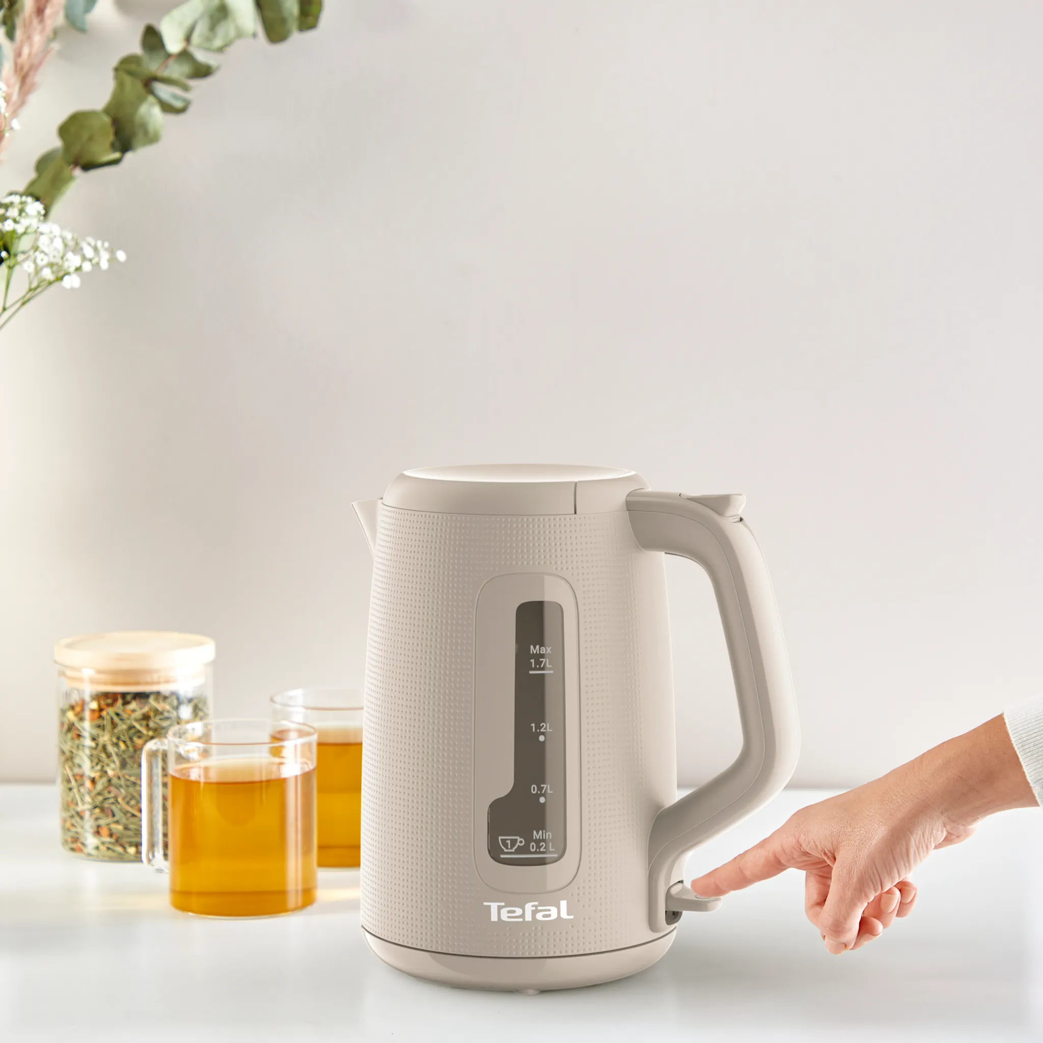 Электрический чайник Tefal Morning KO2M0B10