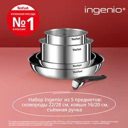 Набор посуды Tefal Ingenio Emotion 5 предметов 16/20/22/28 см L897S574