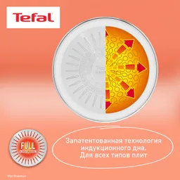 Набор посуды Tefal Ingenio Emotion 5 предметов 16/20/22/28 см L897S574