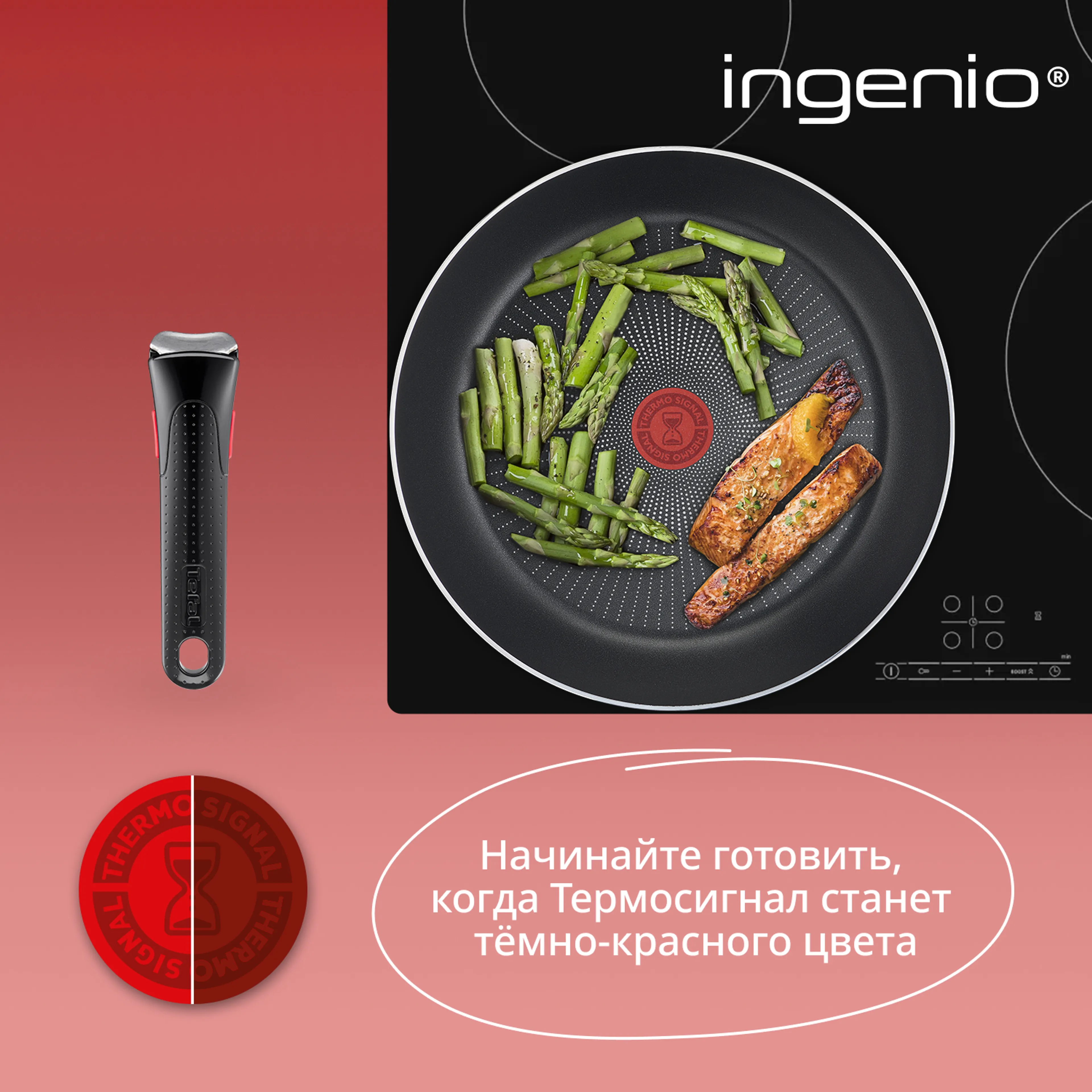 Набор посуды Tefal Ingenio Emotion 5 предметов 16/20/22/28 см L897S574