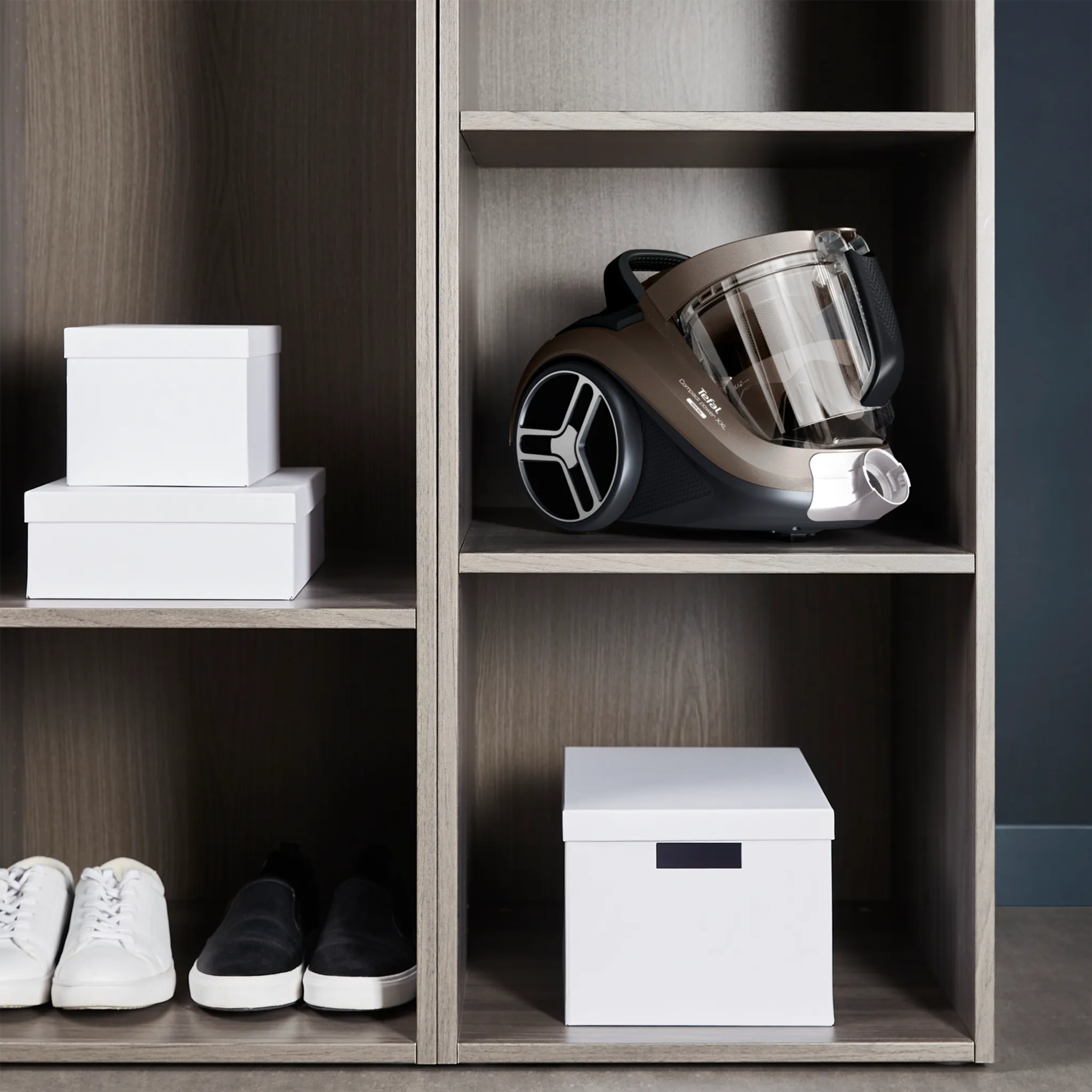 Пылесос с контейнером Tefal Compact Power XXL  TW4B50EA