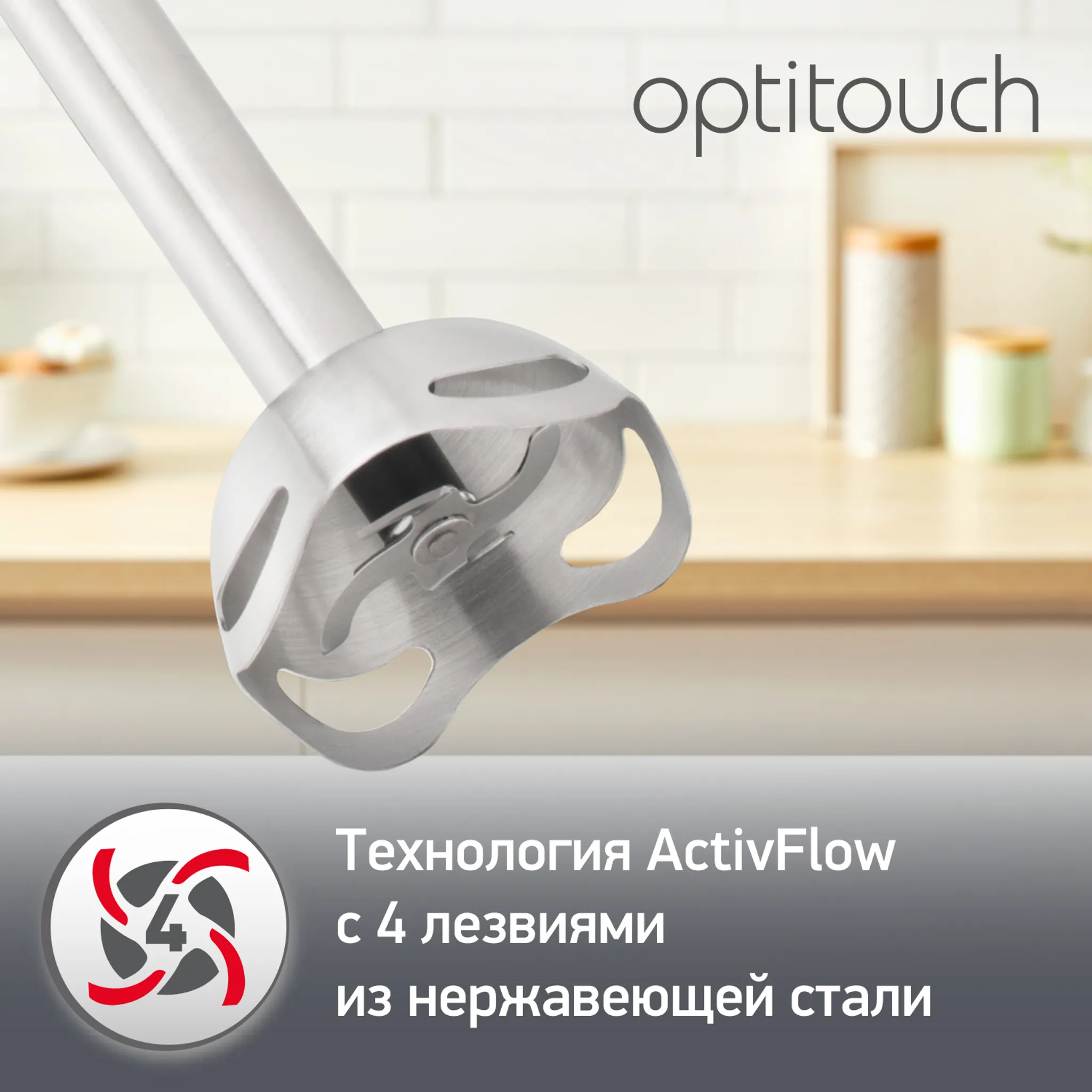 Погружной блендер Moulinex Optitouch