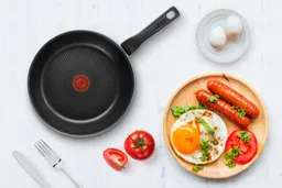 Сковорода Tefal Extreme 22 см 4230122