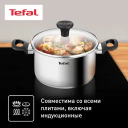 Кастрюля Tefal Edition 20 см G7404474