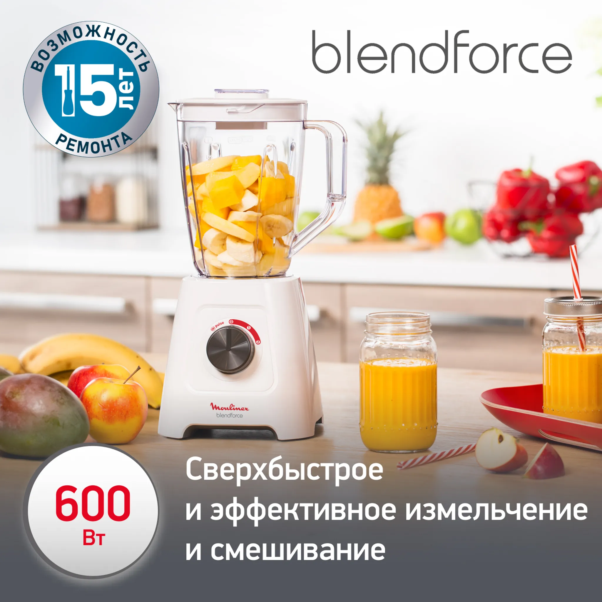 Стационарный блендер Moulinex BlendForce 2 LM420110