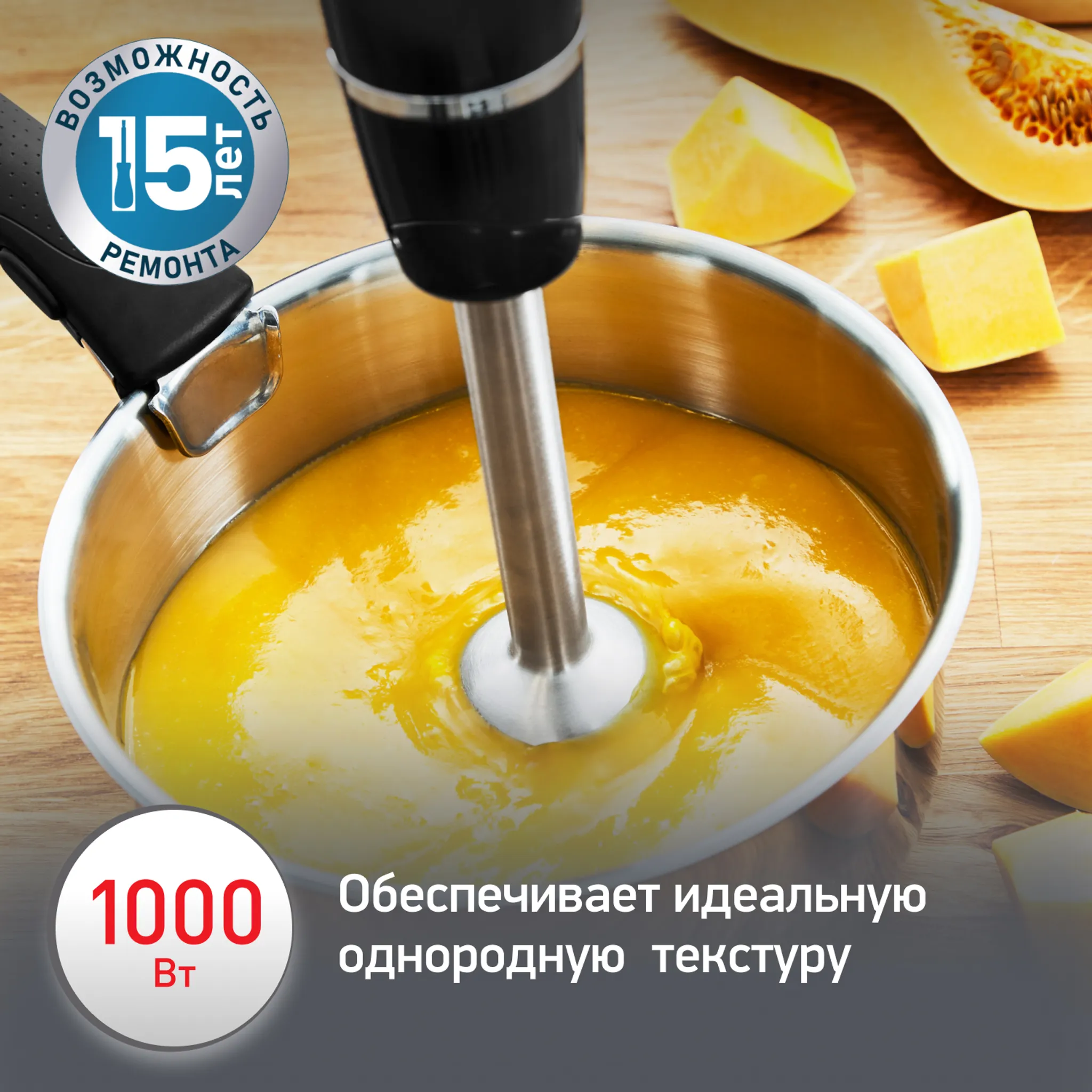 Погружной блендер Moulinex INFINY FORCE V2