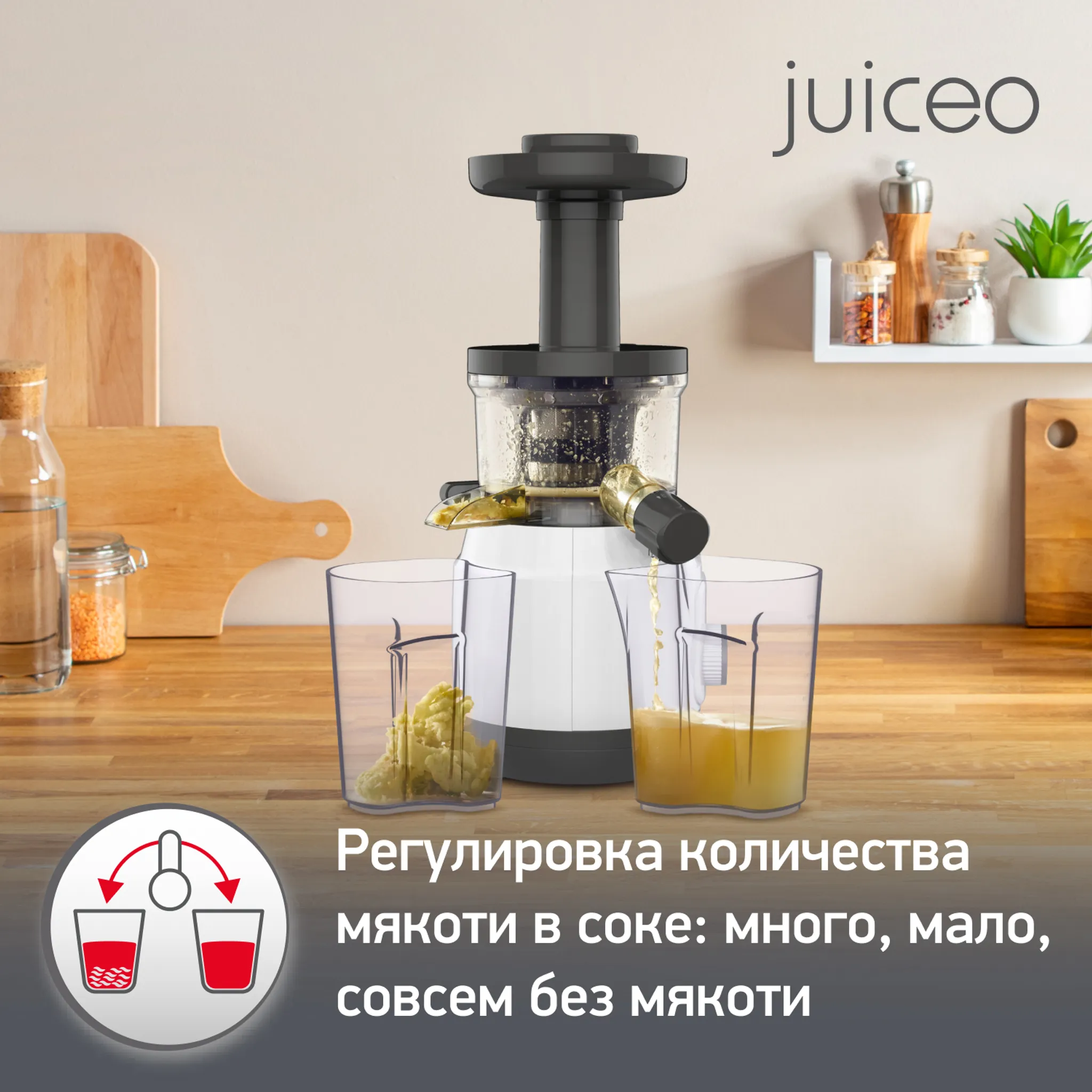 Шнековая соковыжималка Moulinex Juiceo