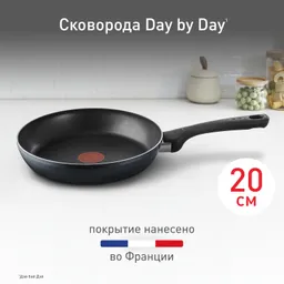 Сковорода Tefal Day by Day 20 см 04217120