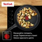 Сковорода Tefal Edition G7380474  24 см