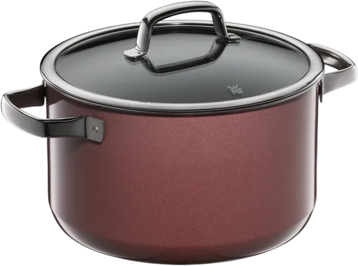 Кастрюля WMF Fusiontec Rose Quartz  24 см
