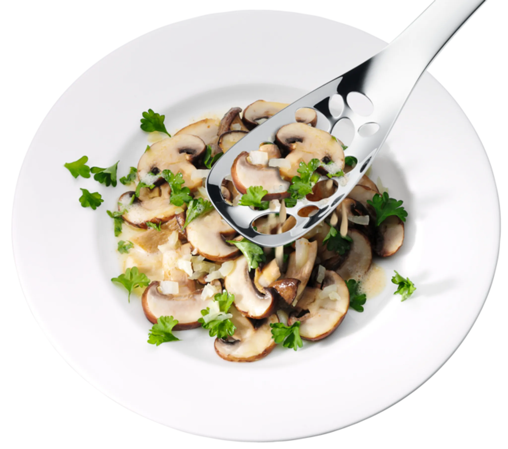 Сервировочная ложка WMF Nuova купить в официальном магазине