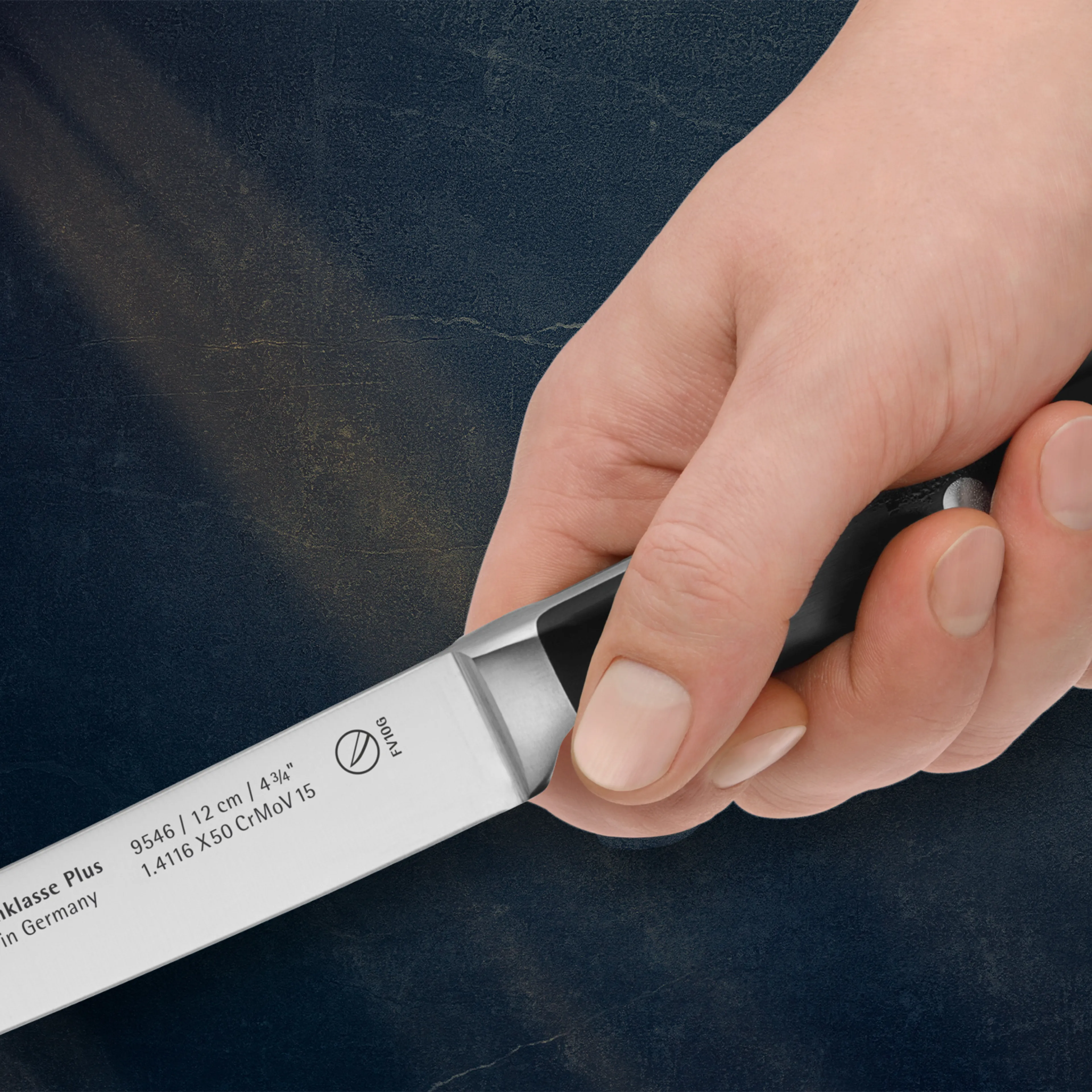 Нож для стейка WMF Spitzenklasse Plus 12 см