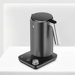 Чайник WMF MASTER с двойными стенками