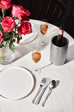 Набор столовых приборов WMF Virginia Crom Protect 66 предметов