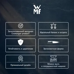 Набор столовых приборов WMF Virginia Crom Protect 66 предметов