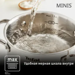 Кастрюля Tefal Minis 16 см со стеклянной крышкой H8744255