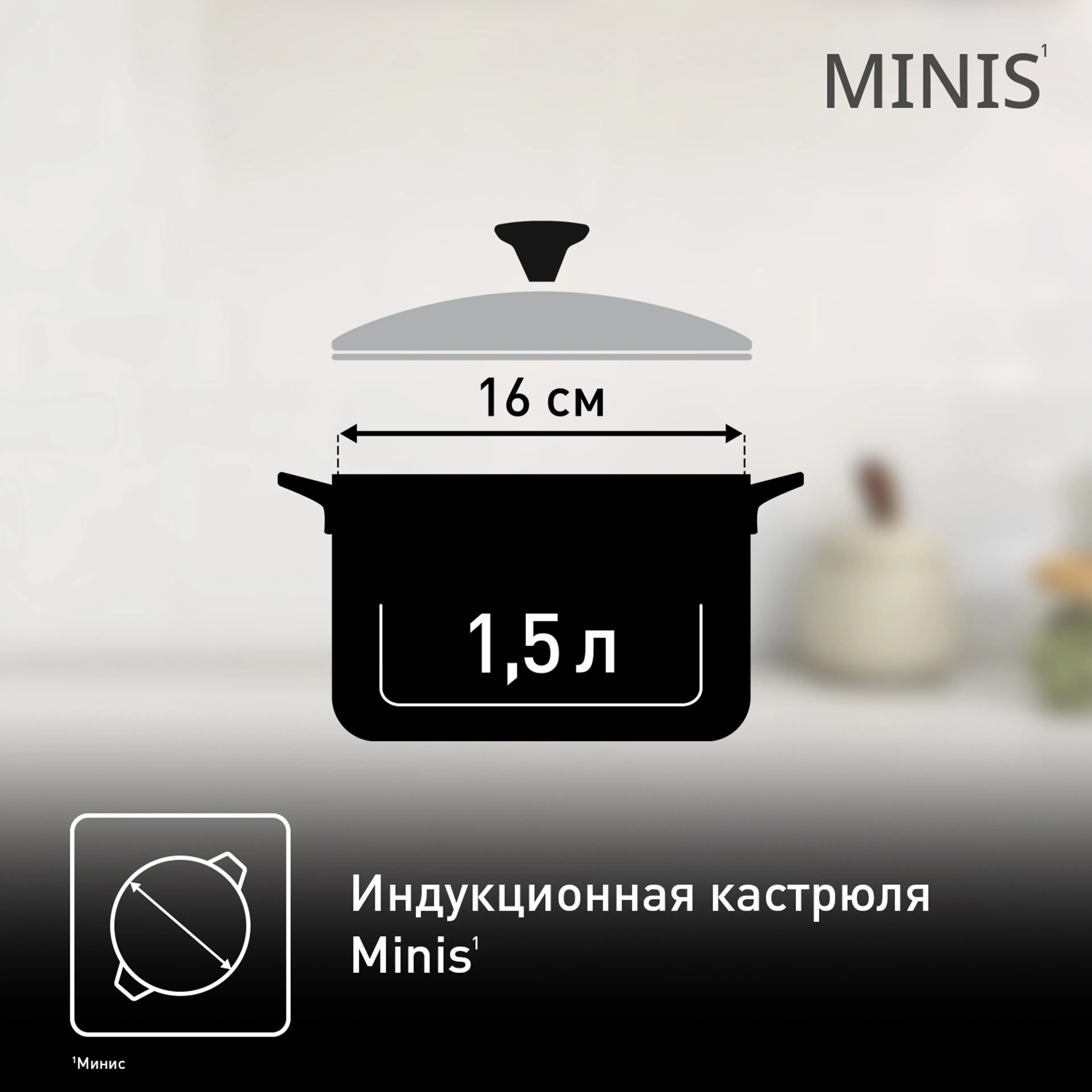 Кастрюля Tefal Minis 16 см со стеклянной крышкой H8744255