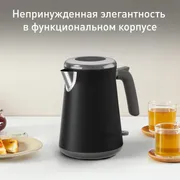 Электрический чайник Tefal Collection KI6668E0