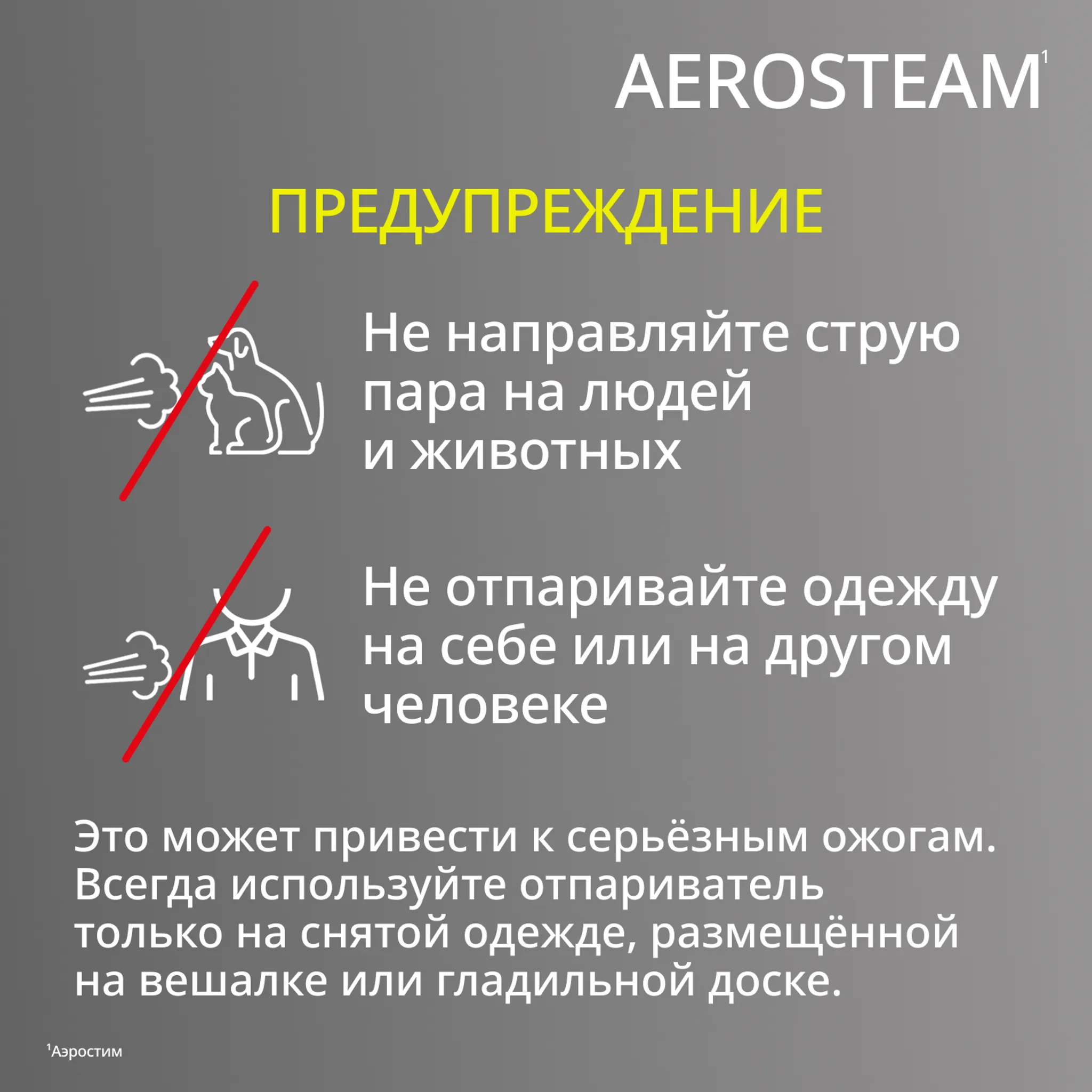 Ручной отпариватель Tefal AeroSteam DT9810F1