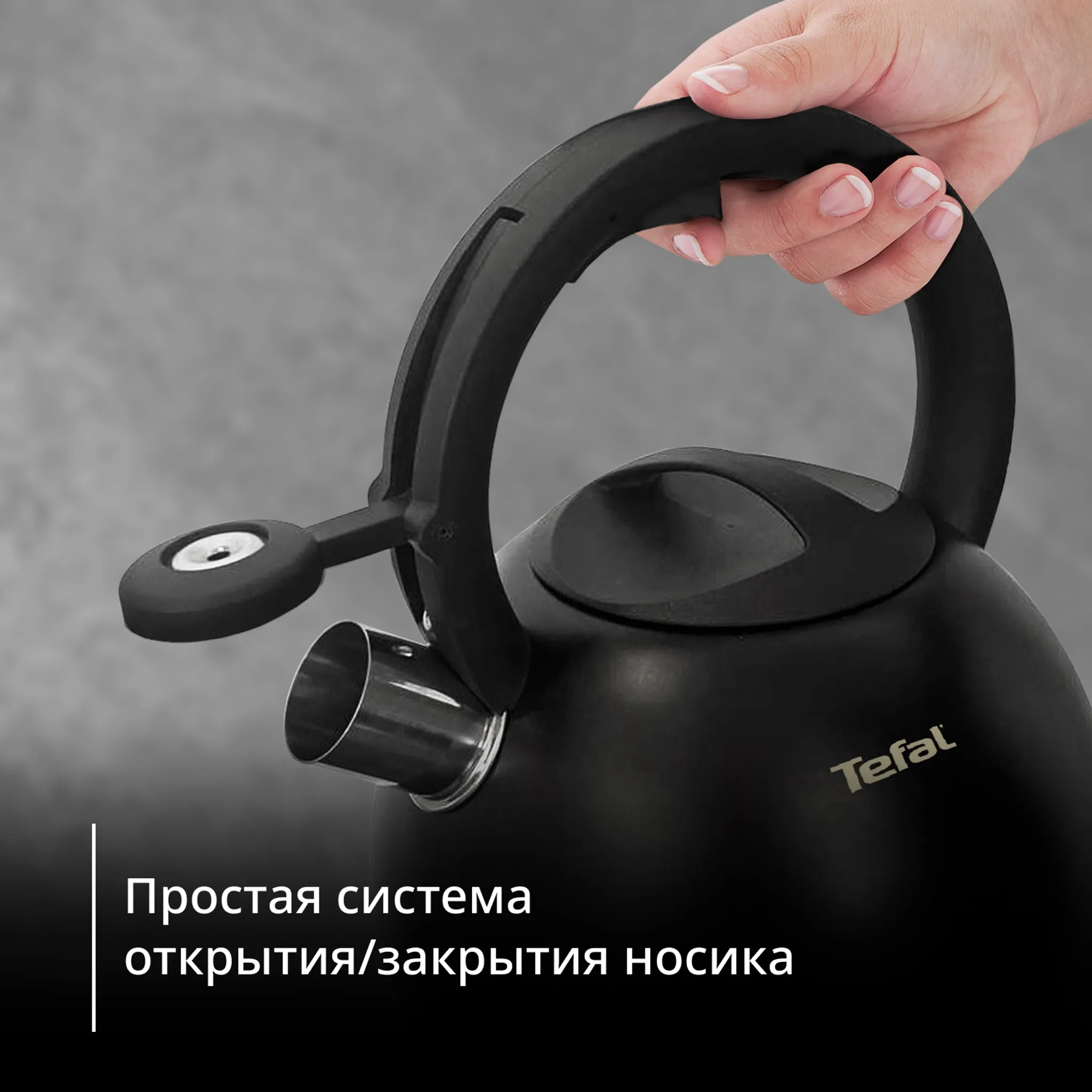 Чайник Tefal Intuition 2.5 л N4180417