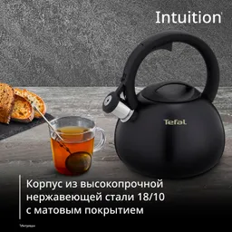 Чайник Tefal Intuition 2.5 л N4180417