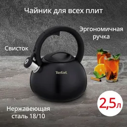 Чайник Tefal Intuition 2.5 л N4180417